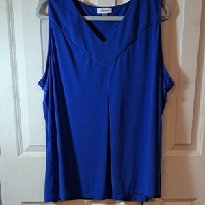 Calvin Klein Women's V-Neck Royal Blue Blouse